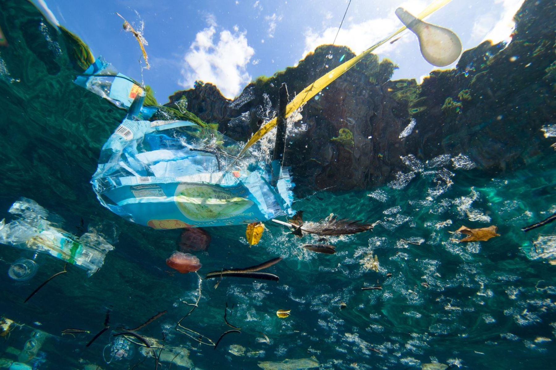 Plasticosis: Understanding the Plastic Epidemic and Exploring Its Solutions
